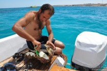 Альбом отзыва "Как не скучать в Хургаде"