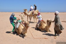 Альбом отзыва "Как не скучать в Хургаде"