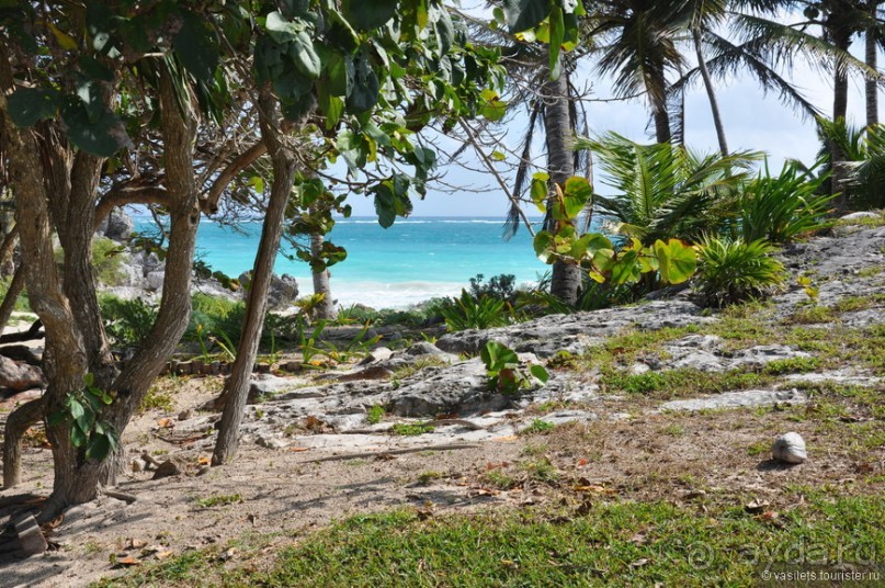 Мексика. Тулум. Карибское море и синоты