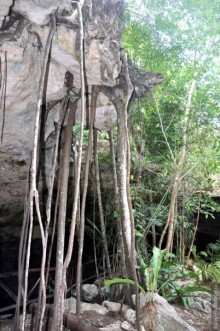 Мексика. Тулум. Карибское море и синоты