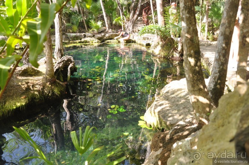 Мексика. Тулум. Карибское море и синоты