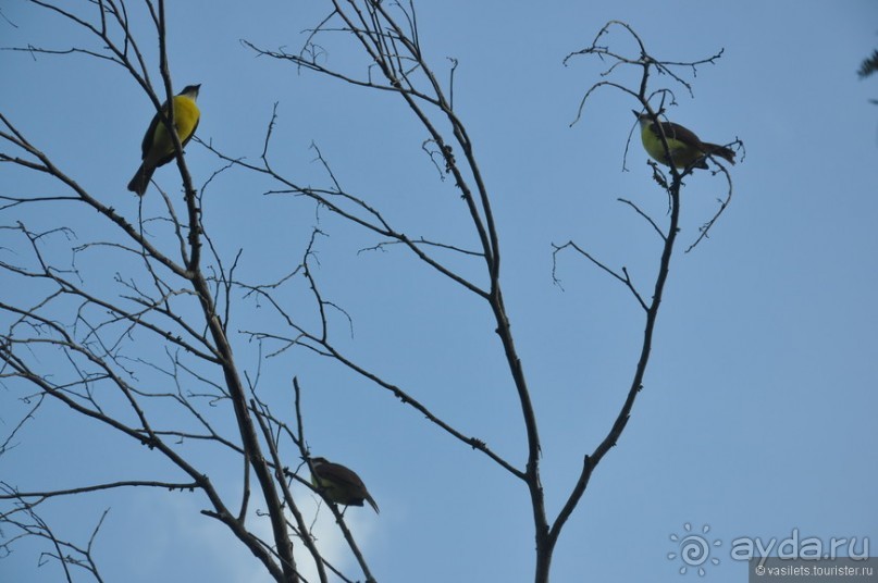 Мексика. Тулум. Карибское море и синоты