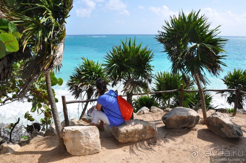 Мексика. Тулум. Карибское море и синоты