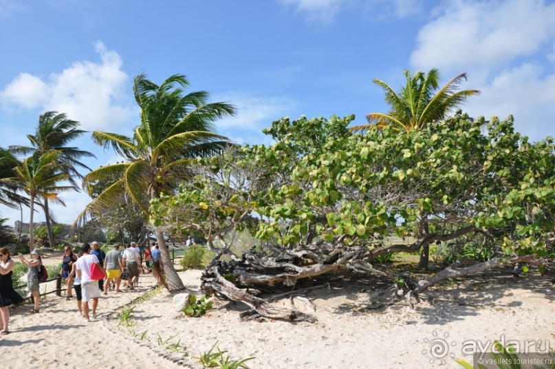 Мексика. Тулум. Карибское море и синоты