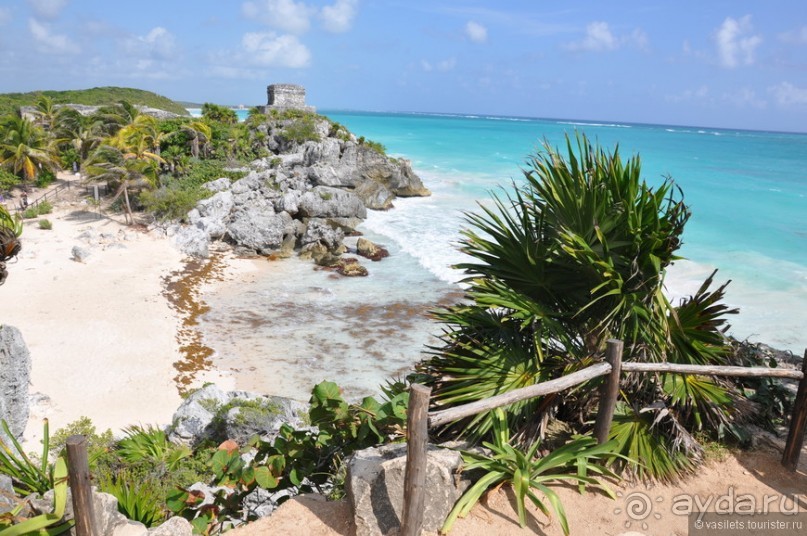 Мексика. Тулум. Карибское море и синоты