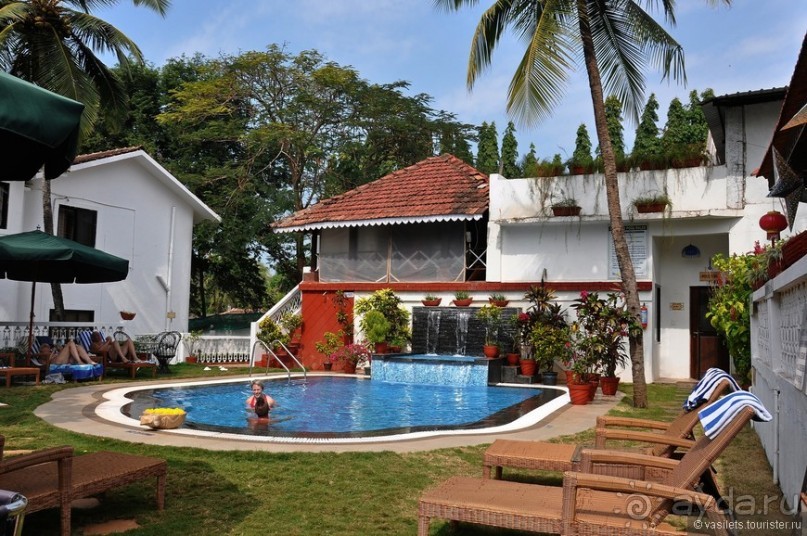 Гоа в третий раз. Калангутские будни