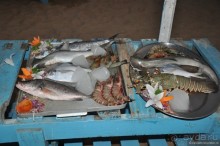 Гоа в третий раз. Калангутские будни