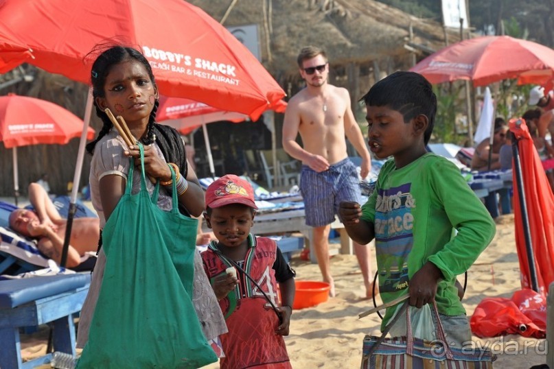 Гоа в третий раз. Калангутские будни