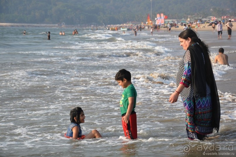 Гоа в третий раз. Калангутские будни