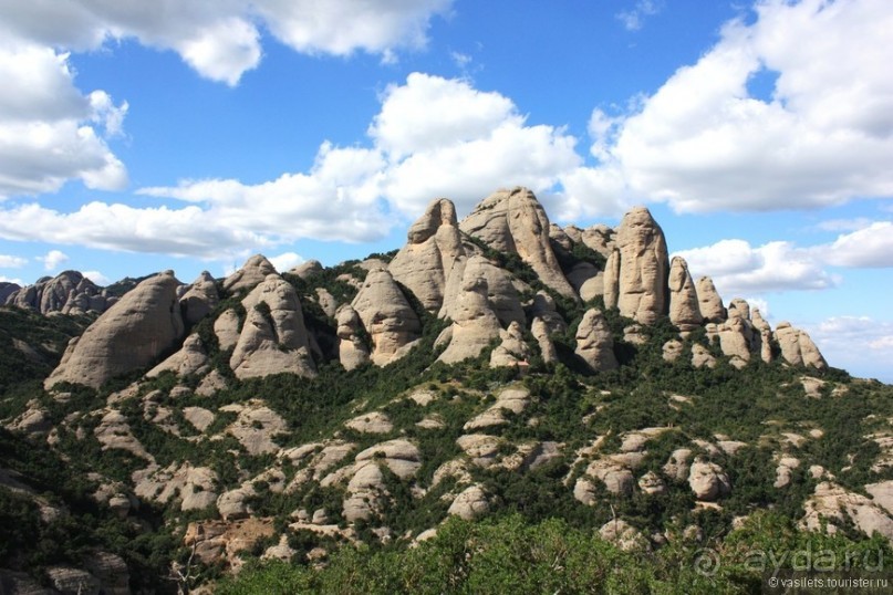 Визит к Черной Мадонне