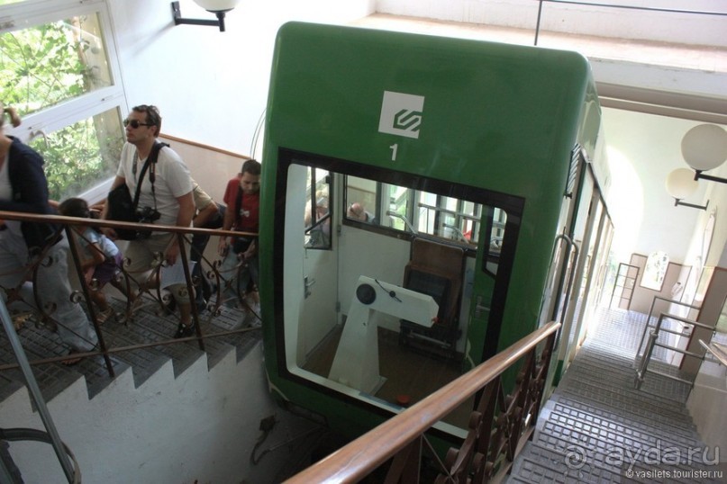 Визит к Черной Мадонне