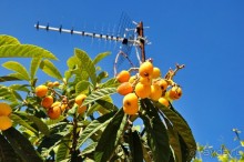 Кипрское очарование