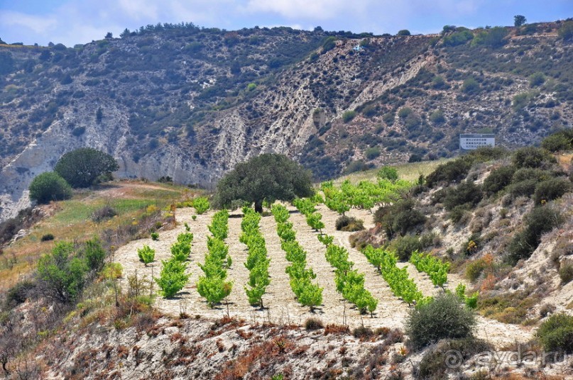 Кипрское очарование