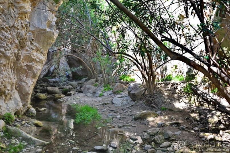 Кипрское очарование