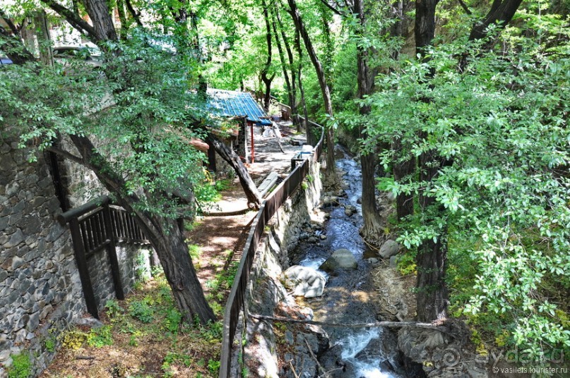 Кипрское очарование