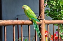 Кипрское очарование