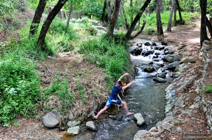 Кипрское очарование