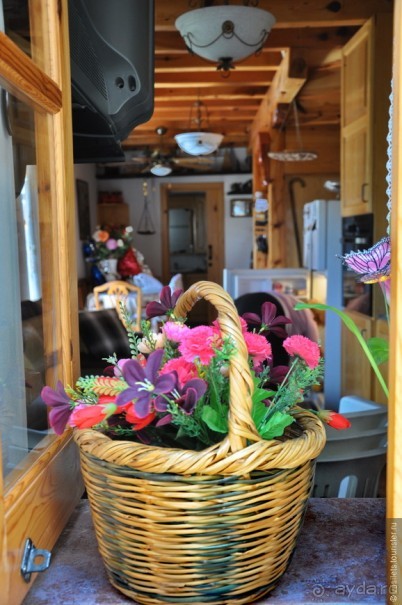 Кипрское очарование