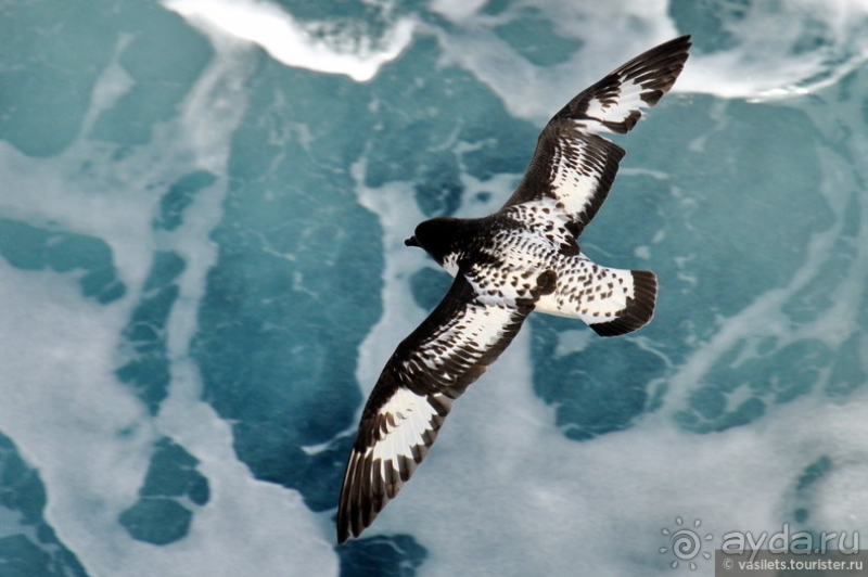 Круиз на Новый год - это так романтично..