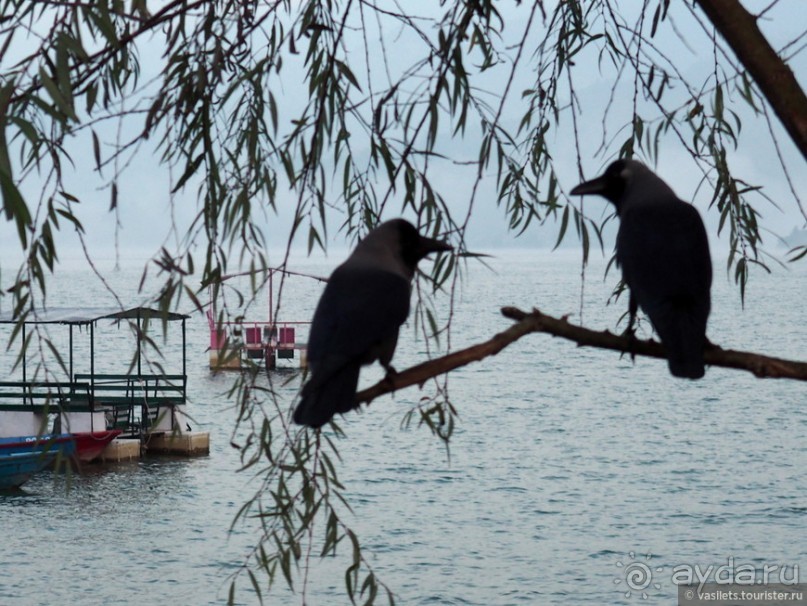 Гоа-Непал-Индия. Коротко о длинном...