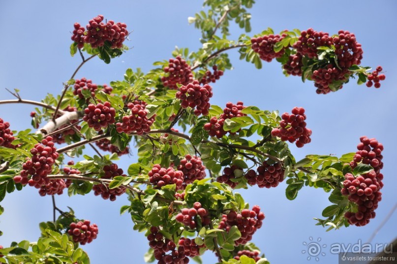 Уголок покоя — Новоспасский монастырь