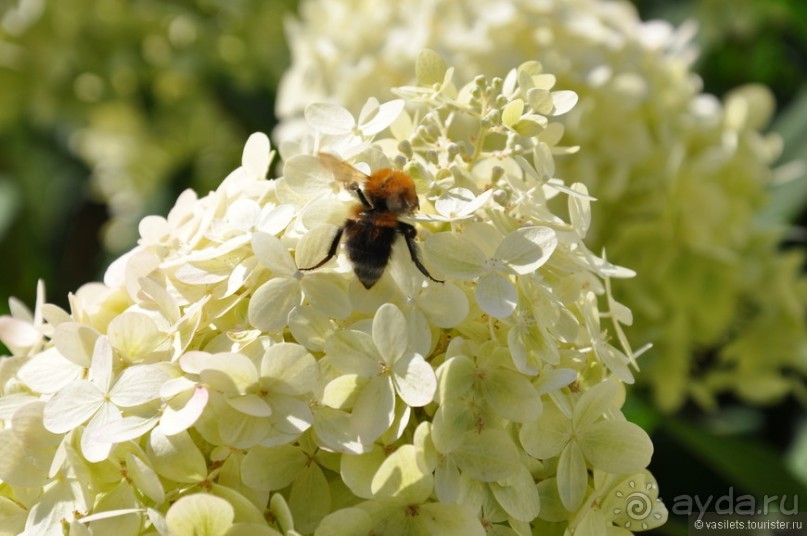 Уголок покоя — Новоспасский монастырь