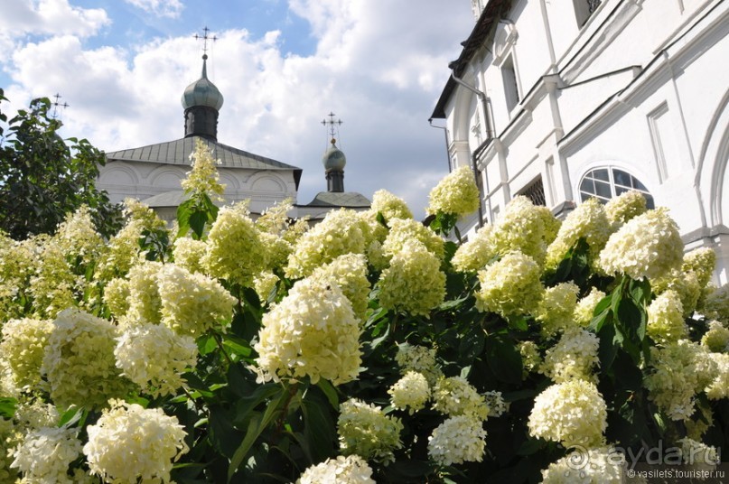 Уголок покоя — Новоспасский монастырь