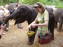 Далекий Тай в недалеком 2003