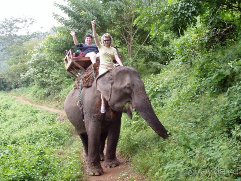 Далекий Тай в недалеком 2003