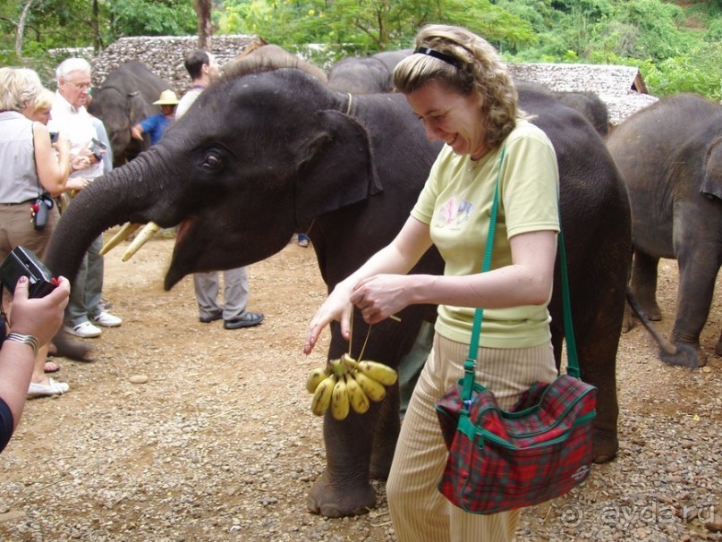 Далекий Тай в недалеком 2003