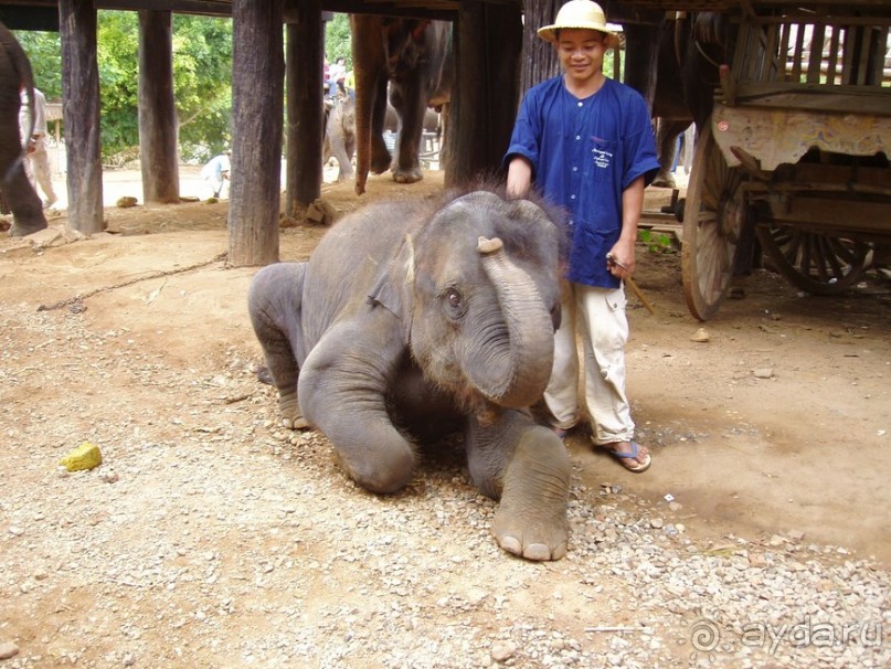 Далекий Тай в недалеком 2003