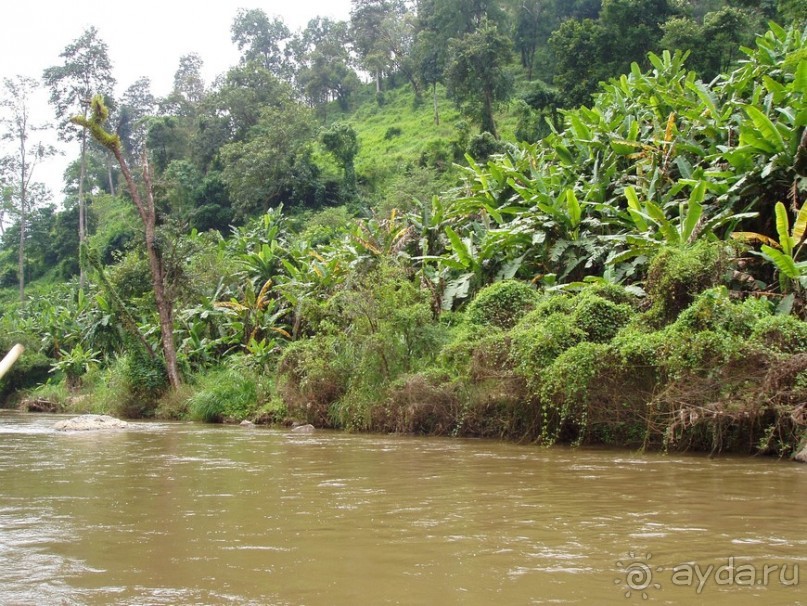 Далекий Тай в недалеком 2003