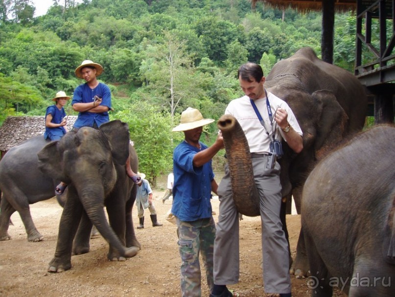 Далекий Тай в недалеком 2003