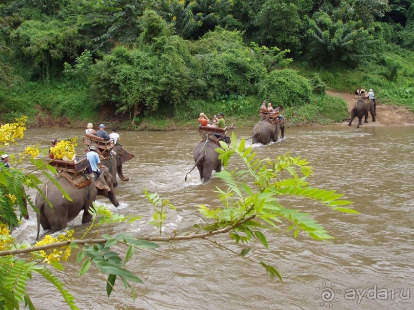 Далекий Тай в недалеком 2003