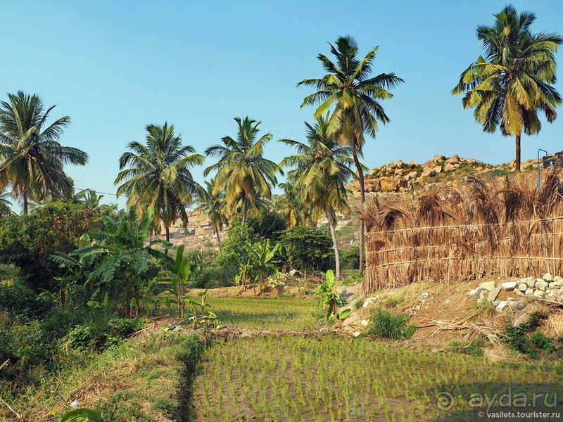 Древнее Хампи — обезьяны, храмы и гигантские валуны