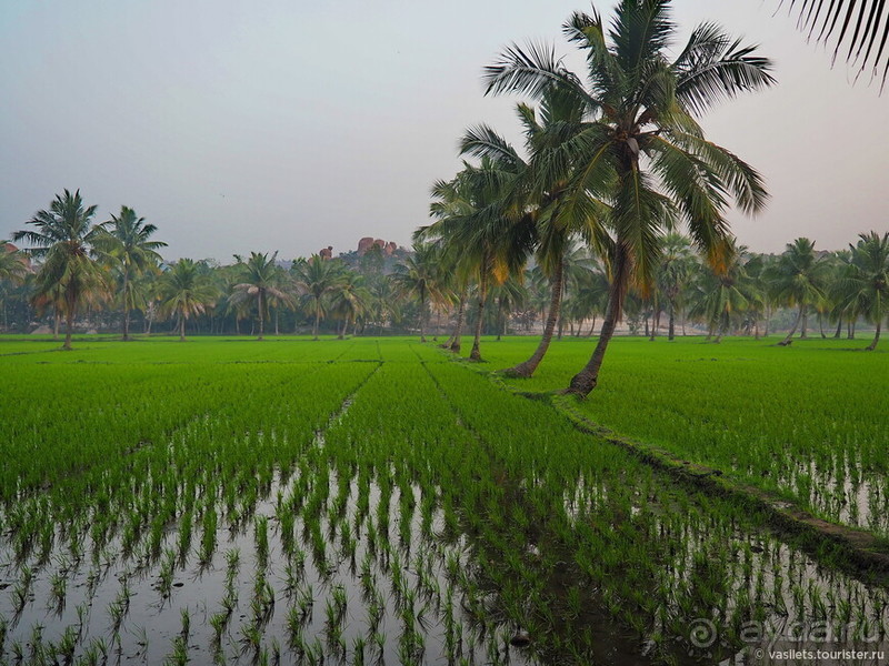Древнее Хампи — обезьяны, храмы и гигантские валуны