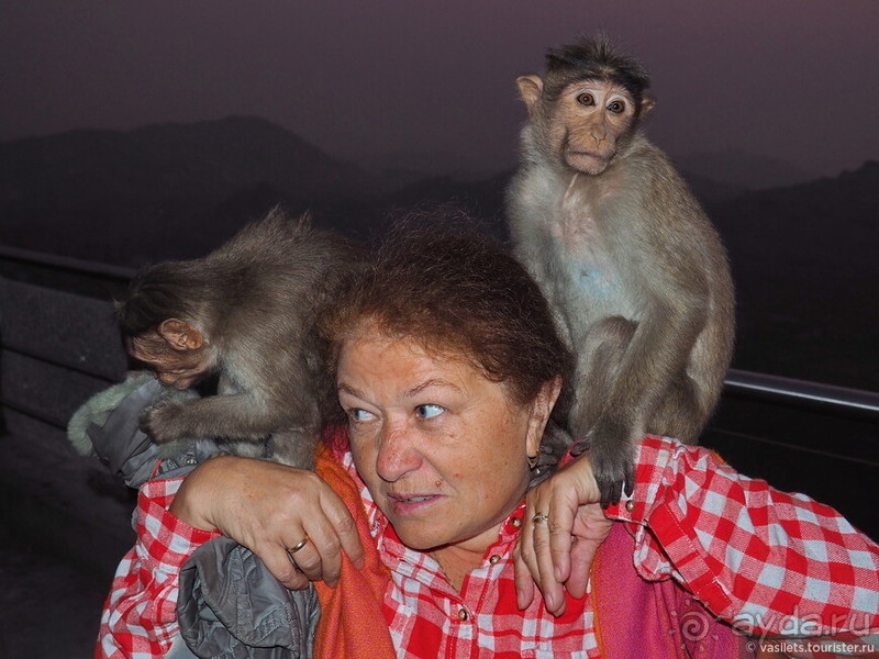 Древнее Хампи — обезьяны, храмы и гигантские валуны