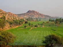 Древнее Хампи — обезьяны, храмы и гигантские валуны