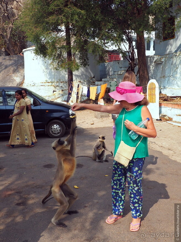 Древнее Хампи — обезьяны, храмы и гигантские валуны