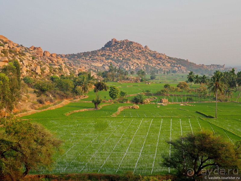 Древнее Хампи — обезьяны, храмы и гигантские валуны