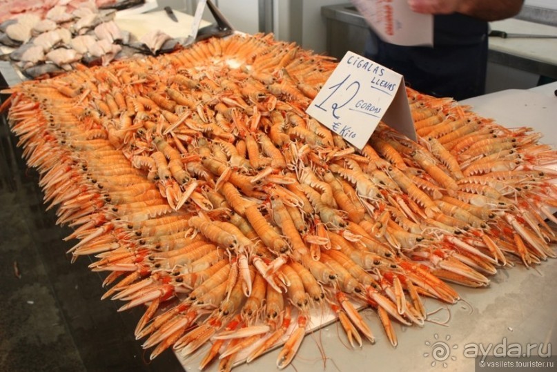 Средневековый Кадис совсем самостоятельно