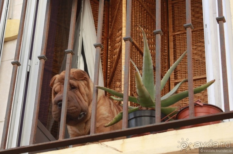 Средневековый Кадис совсем самостоятельно