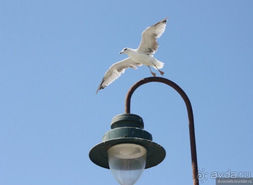 Средневековый Кадис совсем самостоятельно