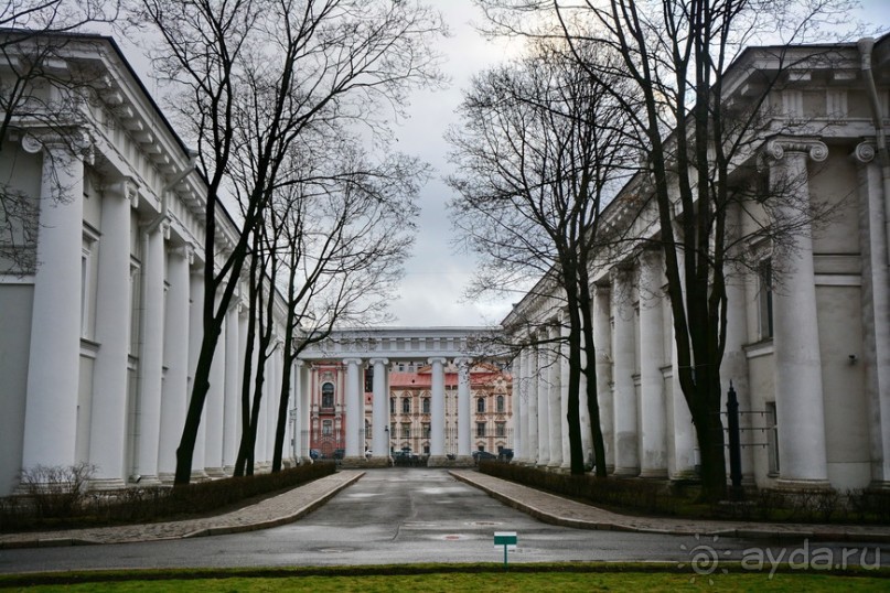 Обычный зимний Питер