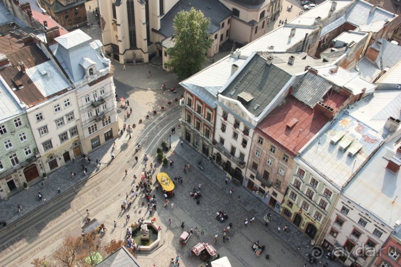 Львов - город львов