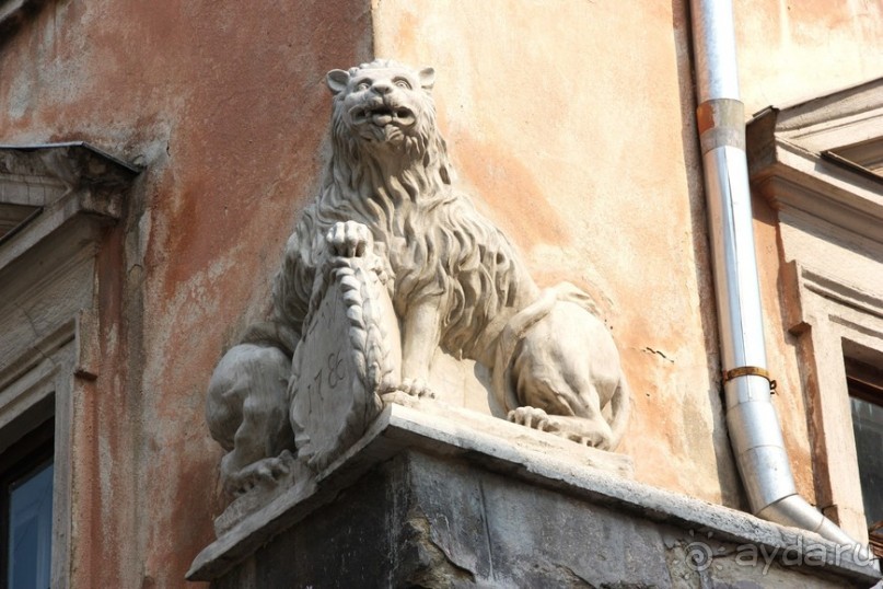 Львов - город львов