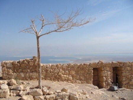 Шалом, Израиль. Здравствуй, Иордания