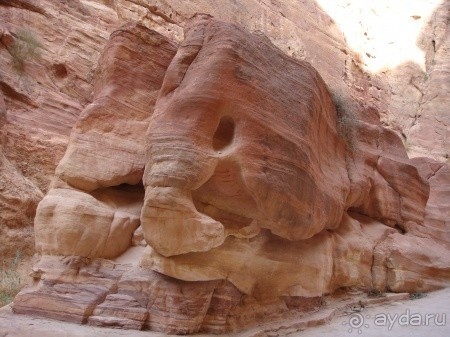 Шалом, Израиль. Здравствуй, Иордания