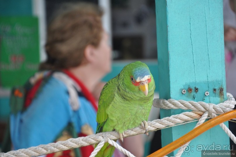 Белиз. Восторг и недоумение.