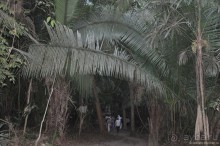 Белиз. Восторг и недоумение.